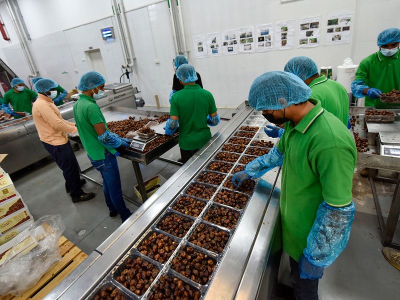 Skilled Worker