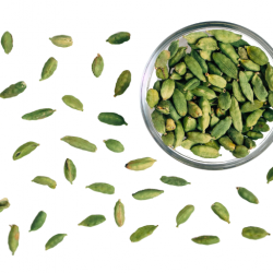Cardamom